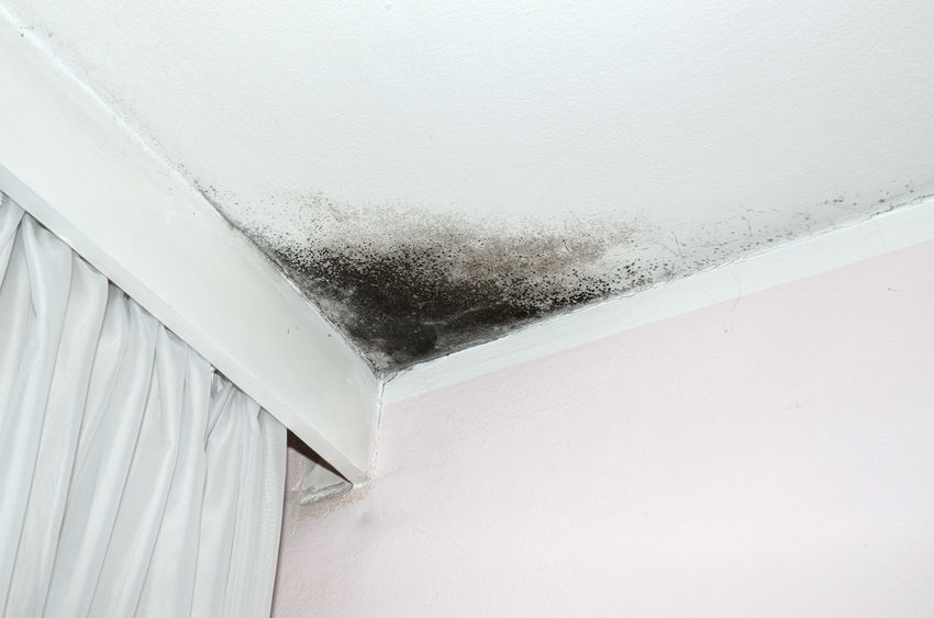 Mold From Humidity | Fritts Heating & Air